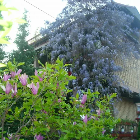 Apartman Wisteria Vranje Exterior photo