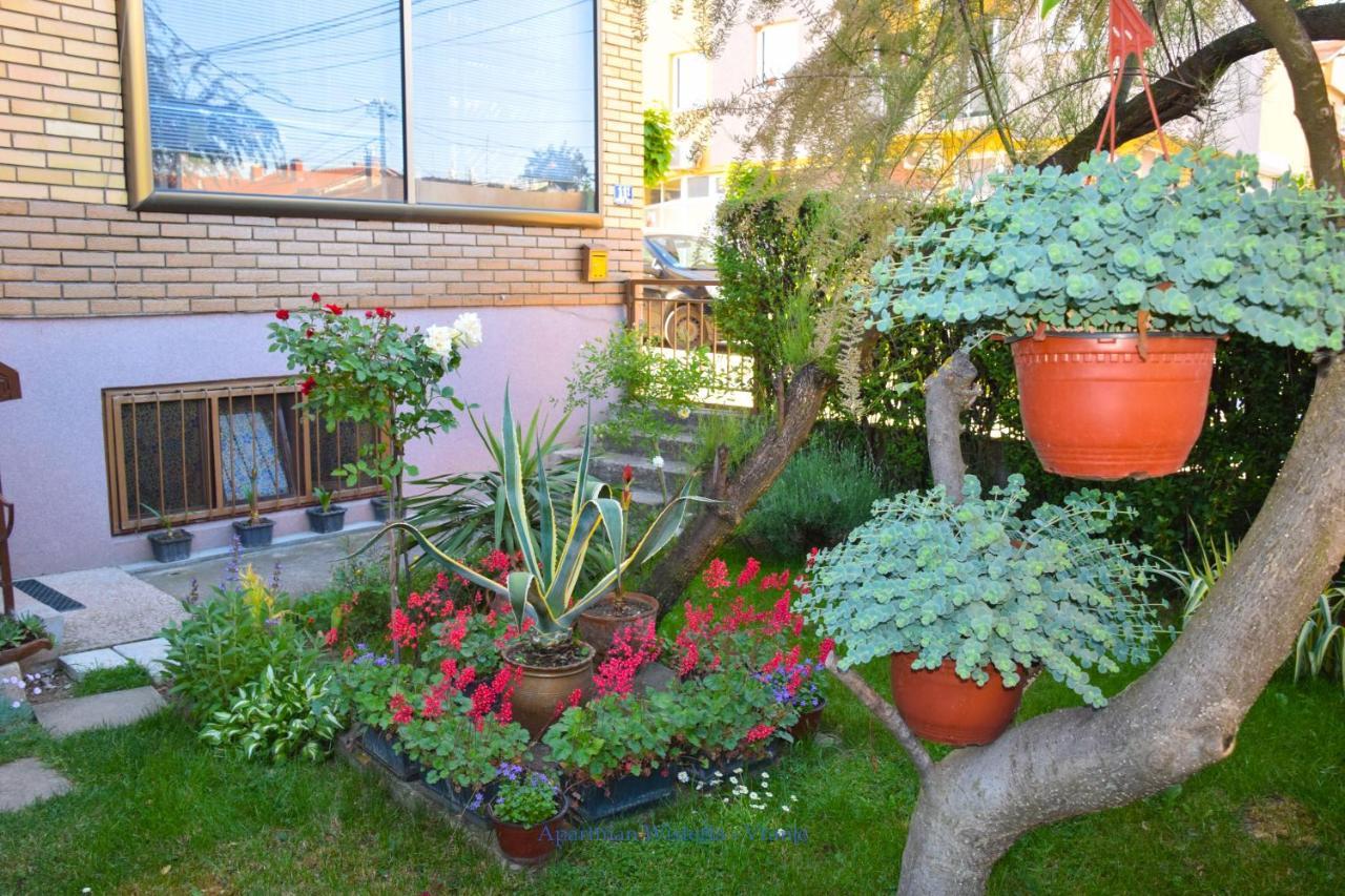 Wisteria Apartment *